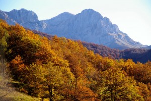 Picos de Europa
