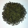 Gunpowder Green Tea Bulk