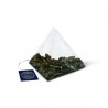 Jasmine green tea