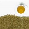 Camomile Manzanilla