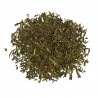 Gunpowder green tea