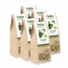 Green anise ECO