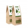 Stevia ECO