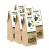 Stevia ECO