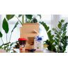 International Women´s Day Pack