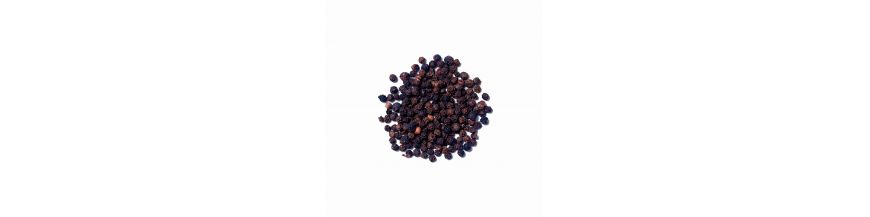 Black pepper