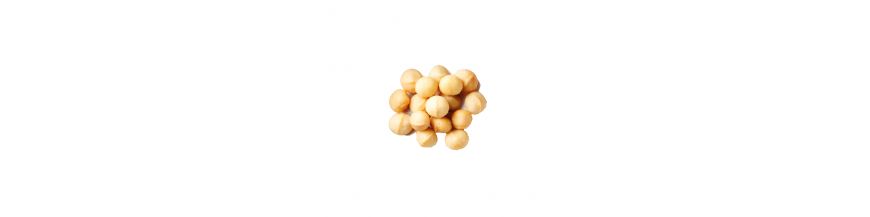 Macadamia nut