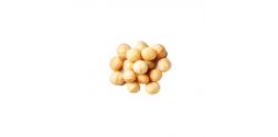 Macadamia nut