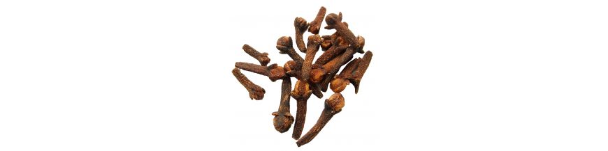 Clove