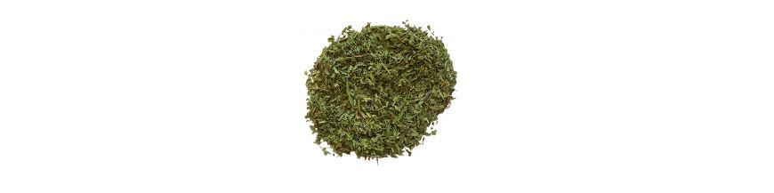 Stevia