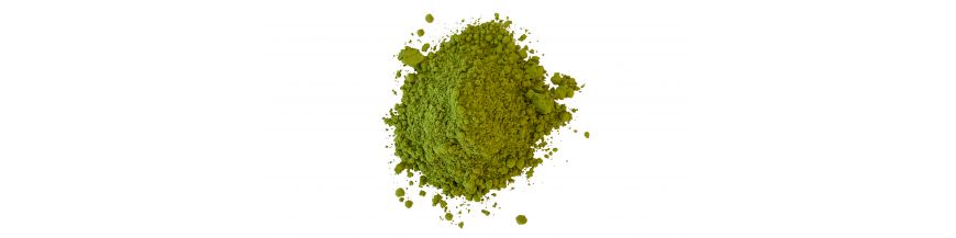 Matcha