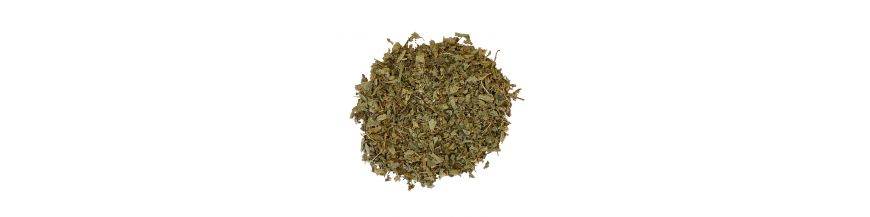 Lemon verbena