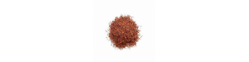 Rooibos