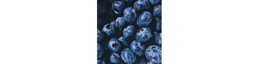 Antioxidant