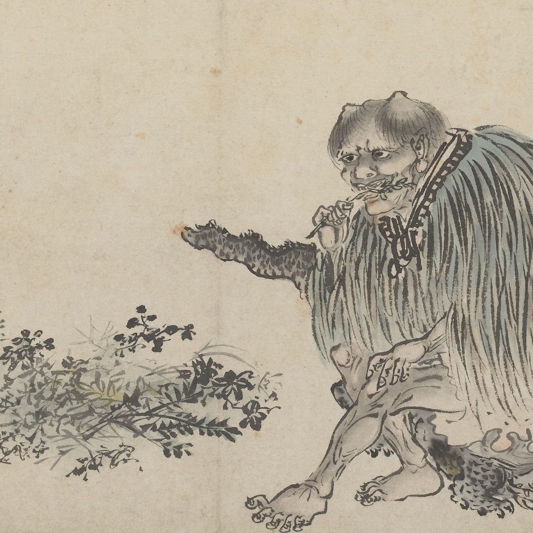 Shennong