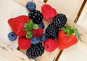 summer-fruits-2608635__340.jpg